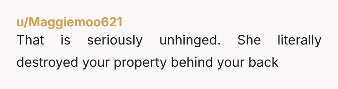 u/Maggiemoo621
That is seriously unhinged. She literally destroyed your property behind your back