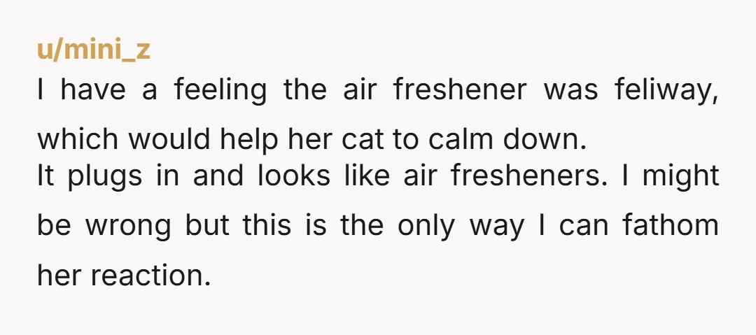 u/mini_z I have a feeling the air freshener was feliway, which would help her cat to calm down.  It plugs in and looks like air fresheners. I might be wrong...