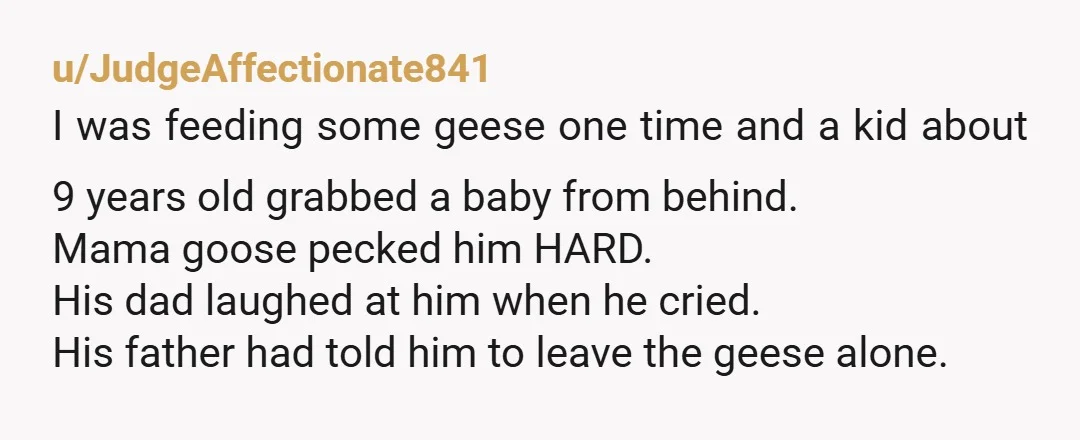 u/JudgeAffectionate841 I was feeding some geese one time and a kid about 9 years old grabbed a baby from behind. Mama goose pecked him HARD. His dad laughed at him...