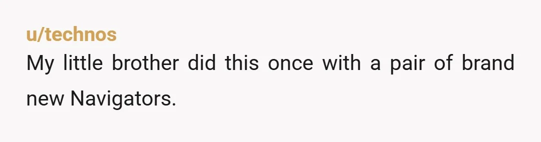 u/technos My little brother did this once with a pair of brand new Navigators. He was supposed to deliver them to a company, but when he got to the address...