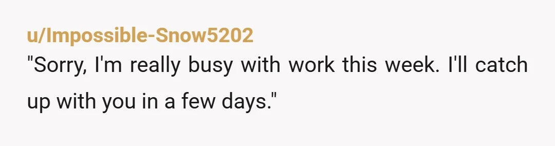 u/Impossible-Snow5202 "Sorry, I'm really busy with work this week. I'll catch up with you in a few days."