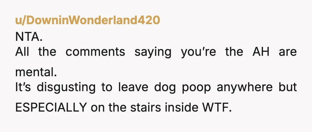 u/Fianna9 NTA- why is she walking your dog with nothing to clean up after it? People are supposed to pick up poop outside, so she likely never has. Might not...