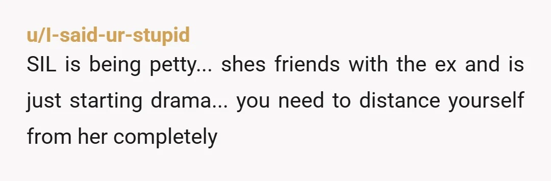 u/I-said-ur-stupid SIL is being petty... shes friends with the ex and is just starting drama... you need to distance yourself from her completely