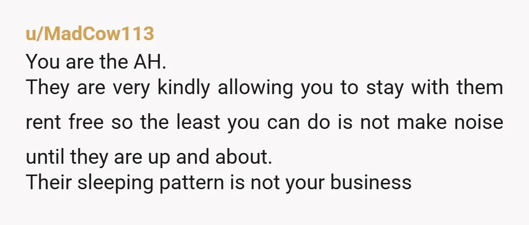 u/MadCow113 You are the AH. They are very kindly allowing you to stay with them rent free so the least you can do is not make noise until they are...
