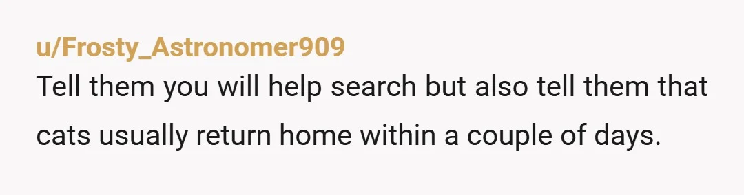 u/Frosty_Astronomer909
Tell them you will help search but also tell them that cats usually return home within a couple of days.