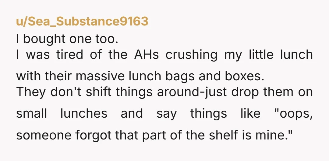u/Sea_Substance9163 I bought one too. I was tired of the AHs crushing my little lunch with their massive lunch bags and boxes. They don't shift things around-just drop them on...