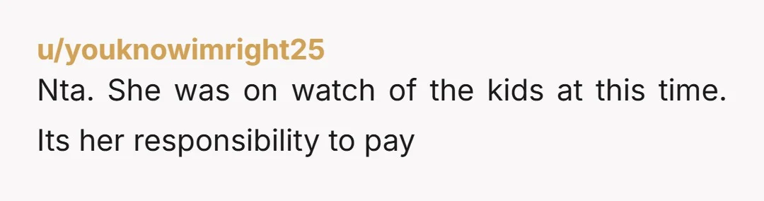u/youknowimright25
Nta. She was on watch of the kids at this time. Its her responsibility to pay