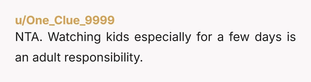 u/Devi_Moonbeam NTA. Hey, I'm all for child-free weddings, but the hypocrisy here is astounding. You are adult enough to be the only responsible baby sitter she can find for MULTIPLE...