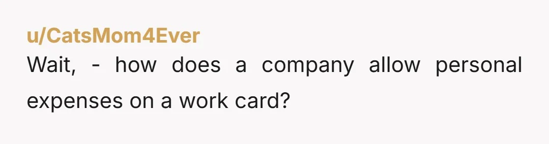 u/CatsMom4Ever
Wait, - how does a company allow personal expenses on a work card?