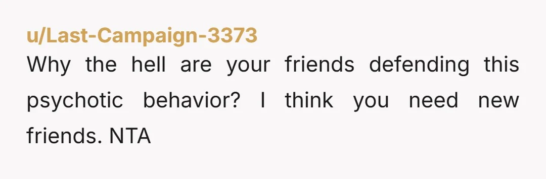 u/Last-Campaign-3373
Why the hell are your friends defending this psychotic behavior?  I think you need new friends. NTA