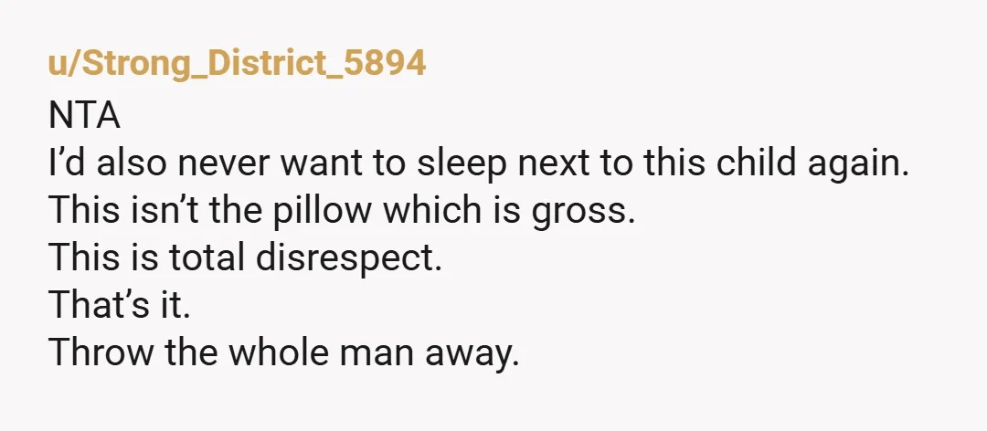 u/Strong_District_5894 NTA I’d also never want to sleep next to this child again. This isn’t the pillow which is gross. This is total disrespect. That’s it.  Throw the whole man...
