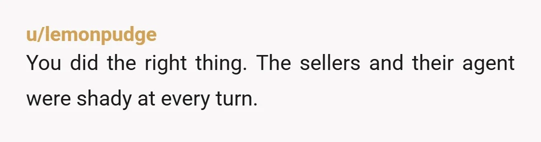 u/lemonpudge
You did the right thing. The sellers and their agent were shady at every turn. 