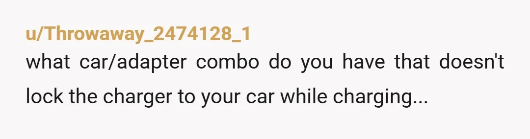 u/Throwaway_2474128_1
what car/adapter combo do you have that doesn't lock the charger to your car while charging...