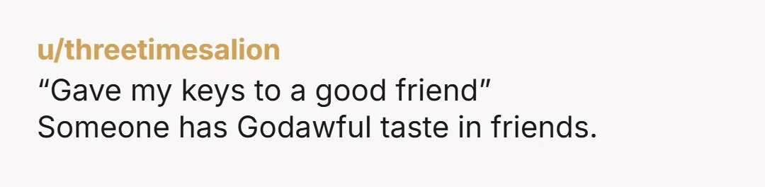 u/threetimesalion “Gave my keys to a good friend” Someone has Godawful taste in friends.