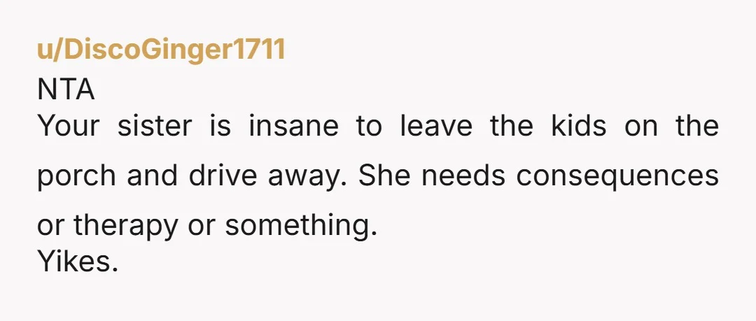 u/DiscoGinger1711 NTA  Your sister is insane to leave the kids on the porch and drive away.  She needs consequences or therapy or something. Yikes. 