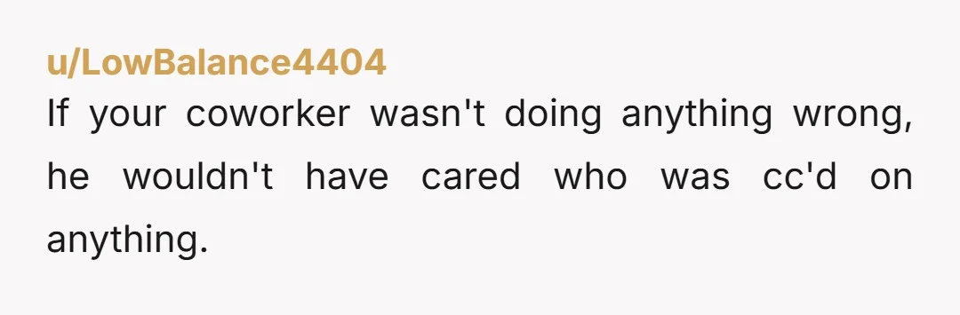 u/LowBalance4404 If your coworker wasn't doing anything wrong, he wouldn't have cared who was cc'd on anything.