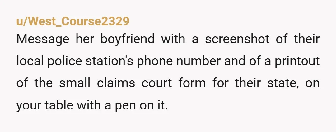 u/West_Course2329 Message her boyfriend with a screenshot of their local police station's phone number and of a printout of the small claims court form for their state, on your table...