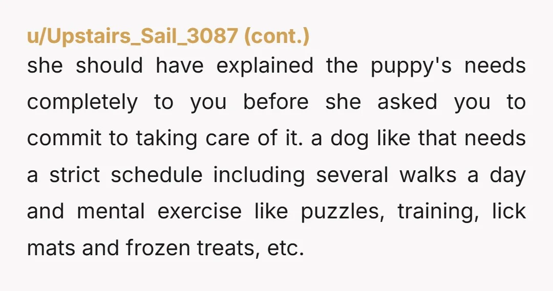 u/Certain_Candidate248 Puppies need a TON more activity than that. And they need long walks/runs. The poor dog. Hope she learns how to care for him and socialize him. I have...