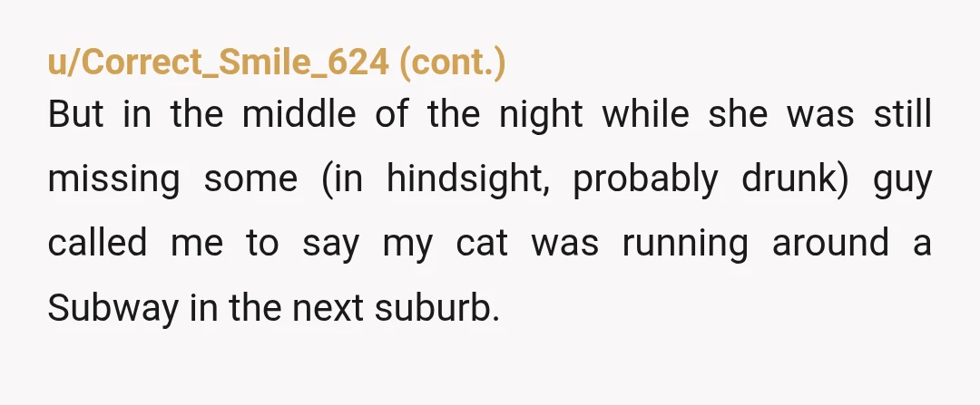 u/ohwhatisthepoint so yeah i wouldn’t be sad if oop’s POS ex boyfriend went missing permanently. so thankful the couple got their cat back though. this story would have been too...