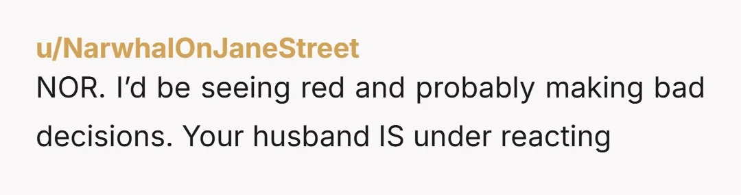u/NarwhalOnJaneStreet
NOR. I’d be seeing red and probably making bad decisions. Your husband IS under reacting