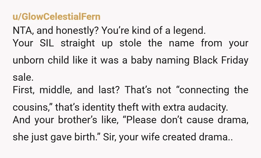 u/GlowCelestialFern NTA, and honestly? You’re kind of a legend. Your SIL straight up stole the name from your unborn child like it was a baby naming Black Friday sale. First,...