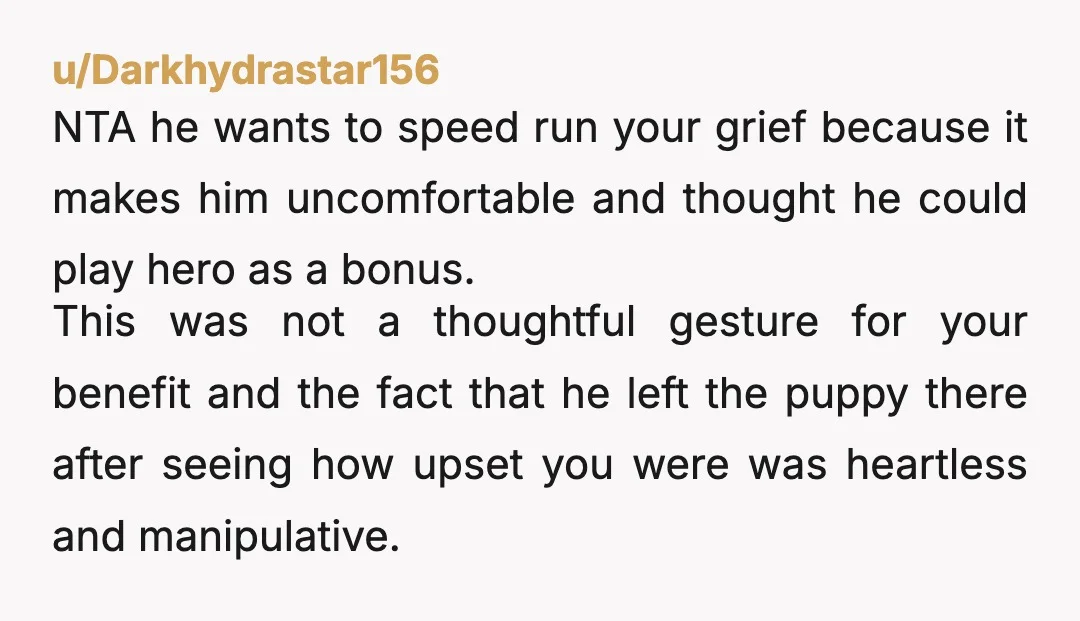 u/FuzzyCat_6578 NTA and giving away his gift is an odd way to phrase that. Seems he bought you a shut up dog so you’d stop grieving and he could get...