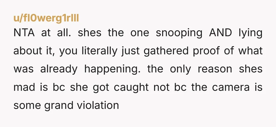 u/fl0werg1rlll NTA at all. shes the one snooping AND lying about it, you literally just gathered proof of what was already happening. the only reason shes mad is bc she...