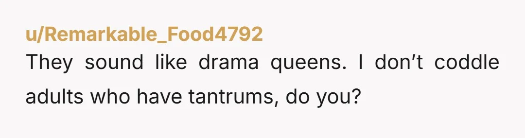 u/Remarkable_Food4792
They sound like drama queens. I don’t coddle adults who have tantrums, do you?