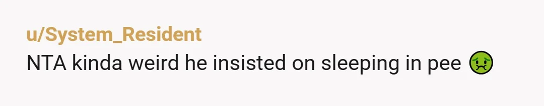 u/System_Resident
NTA kinda weird he insisted on sleeping in pee 🤢