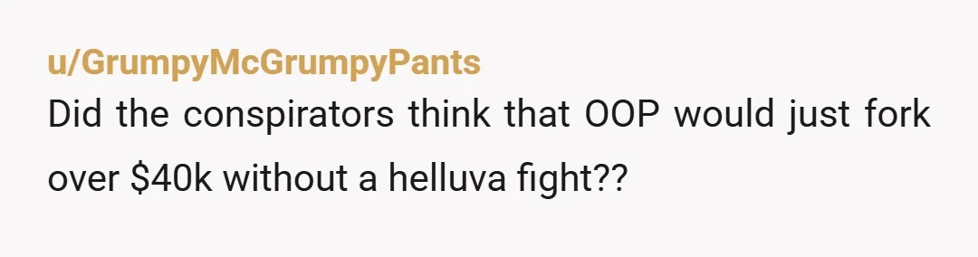u/GrumpyMcGrumpyPants
Did the conspirators think that OOP would just fork over $40k without a helluva fight??