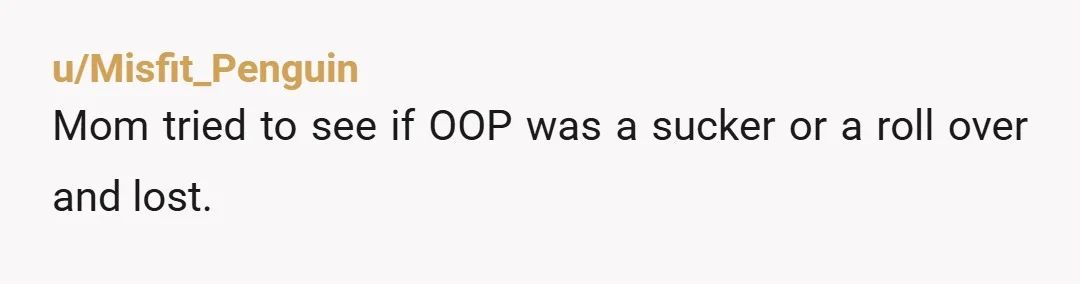 u/Misfit_Penguin
Mom tried to see if OOP was a sucker or a roll over and lost.