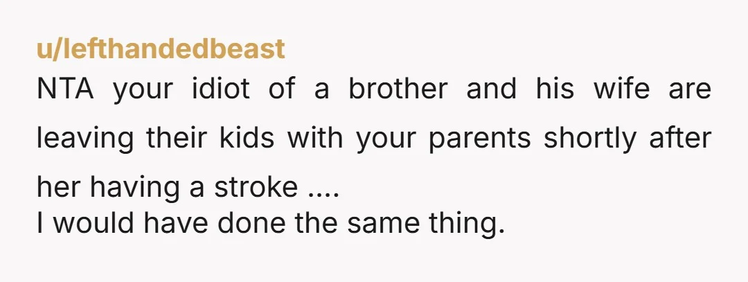 u/lefthandedbeast NTA your idiot of a brother and his wife are leaving their kids with your parents shortly after her having a stroke .... I would have done the same...