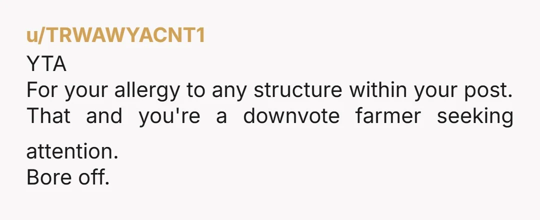 u/TRWAWYACNT1 YTA For your allergy to any structure within your post. That and you're a downvote farmer seeking attention. Bore off.