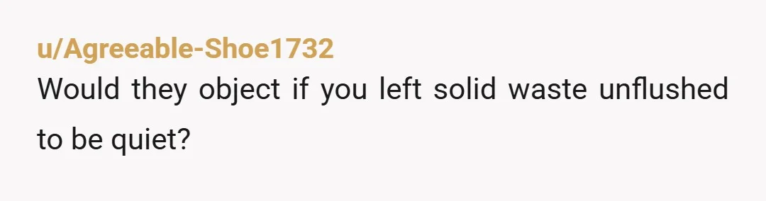 u/Agreeable-Shoe1732
Would they object if you left solid waste unflushed to be quiet?