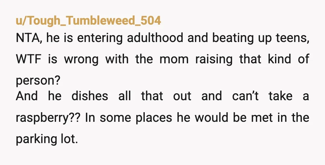 u/Tough_Tumbleweed_504 NTA, he is entering adulthood and beating up teens, WTF is wrong with the mom raising that kind of person?  And he dishes all that out and can’t take...