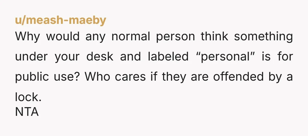 u/meash-maeby
Why would any normal person think something under your desk and labeled “personal” is for public use? Who cares if they are offended by a lock.
NTA