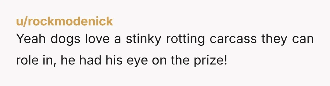 u/rockmodenick Yeah dogs love a stinky rotting carcass they can role in, he had his eye on the prize!