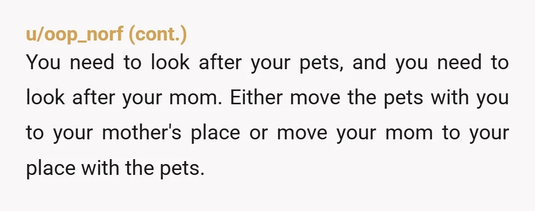 u/Grand-Fun-206 YTA She didn't offer to look after the rabbits, you asked. And she didn't offer to look after your dogs long term, she offered to look after them in...