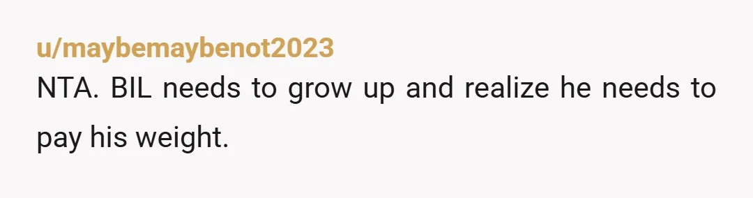 u/maybemaybenot2023
NTA. BIL needs to grow up and realize he needs to pay his weight.