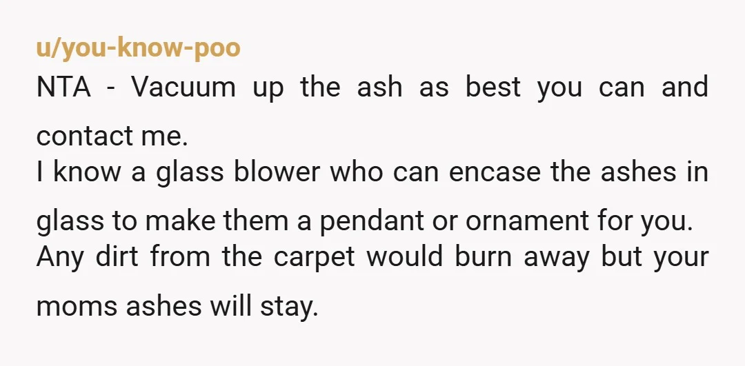 u/you-know-poo NTA - Vacuum up the ash as best you can and contact me. I know a glass blower who can encase the ashes in glass to make them a...