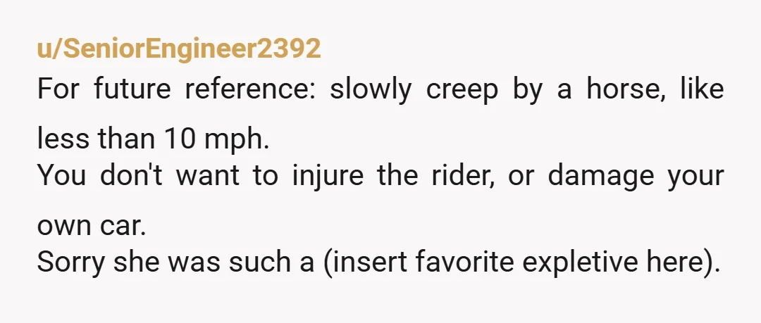 u/notthiswaythatway It’s so interesting that difference in cultural viewpoint here, with the majority giving you a NTA. I’m in Britain and going this fast by a horse and rider is...