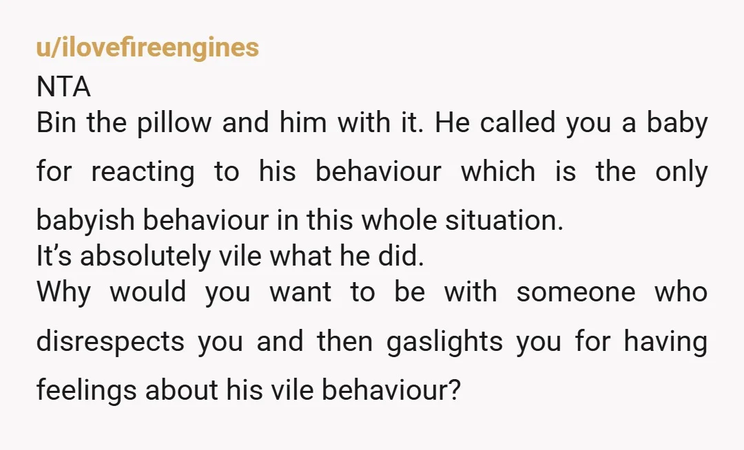 u/ilovefireengines NTA Bin the pillow and him with it. He called you a baby for reacting to his behaviour which is the only babyish behaviour in this whole situation. It’s...