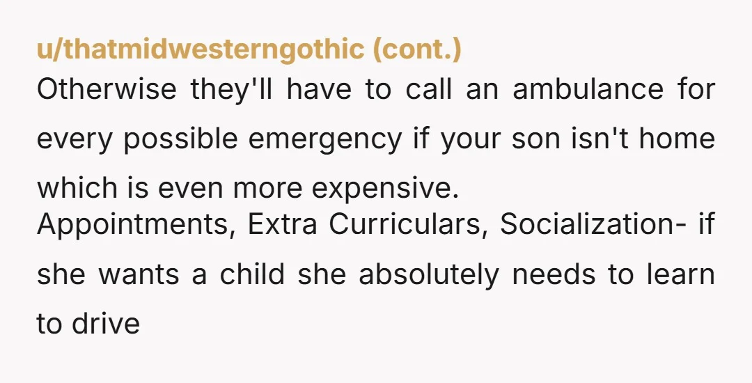 u/giantbrownguy NTA. This is a post that reads like context is king. You mentioned that your DIL can’t drive and refuses to learn, your city is hard to get around...