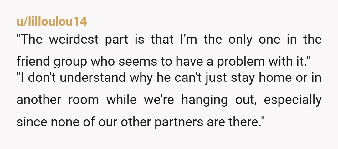 u/lilloulou14 "The weirdest part is that I’m the only one in the friend group who seems to have a problem with it." "I don't understand why he can't just stay...