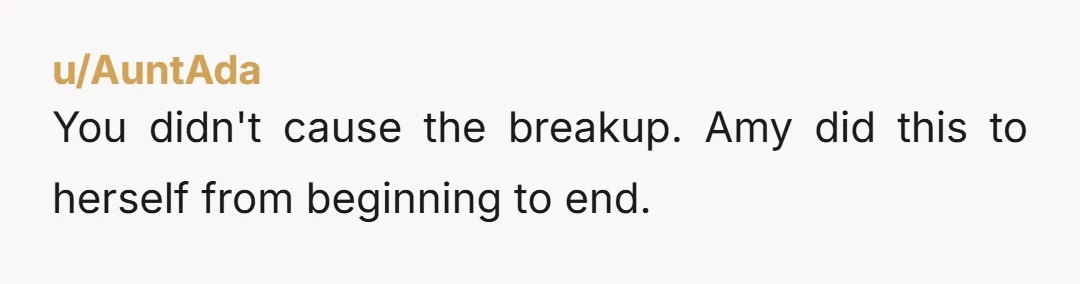 u/AuntAda You didn't cause the breakup. Amy did this to herself from beginning to end.