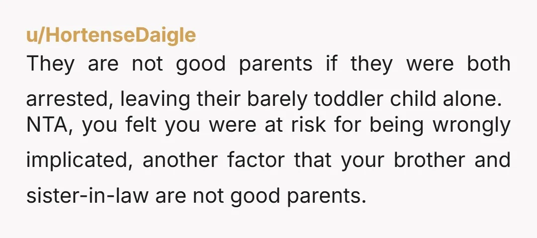 u/MetzliLemon NTA. Tbh you had valid reasons for not taking him. You don't have a relationship with your nephew so you don't know how to take care of him. You...