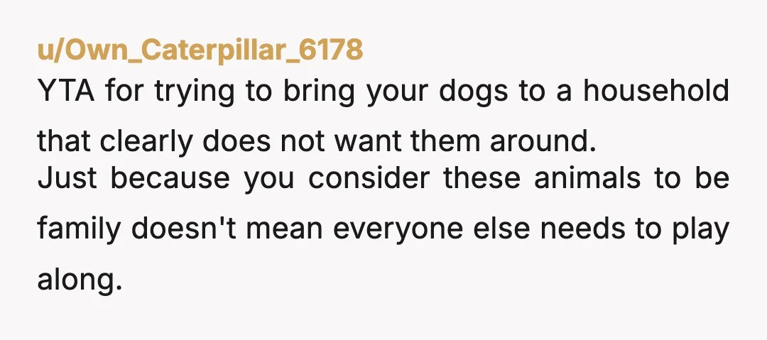u/squidgebunny YTA - not everyone likes dogs or wants dogs in their house or near children etc. could you not get a dog sitter for 3 days or send them...