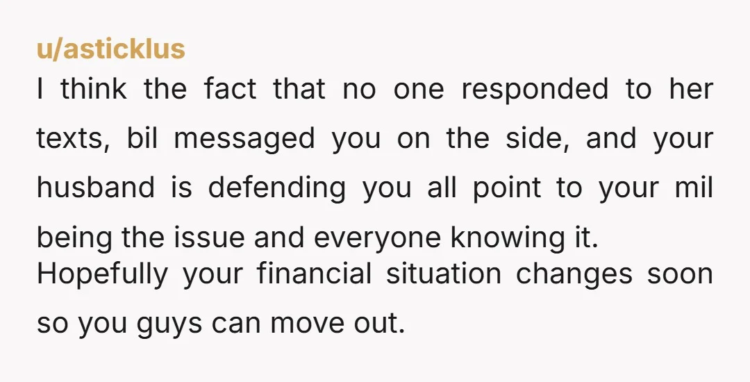 u/asticklus I think the fact that no one responded to her texts, bil messaged you on the side, and your husband is defending you all point to your mil being...