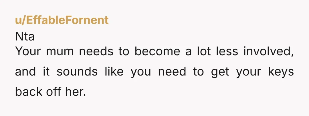 u/EffableFornent Nta Your mum needs to become a lot less involved, and it sounds like you need to get your keys back off her. 