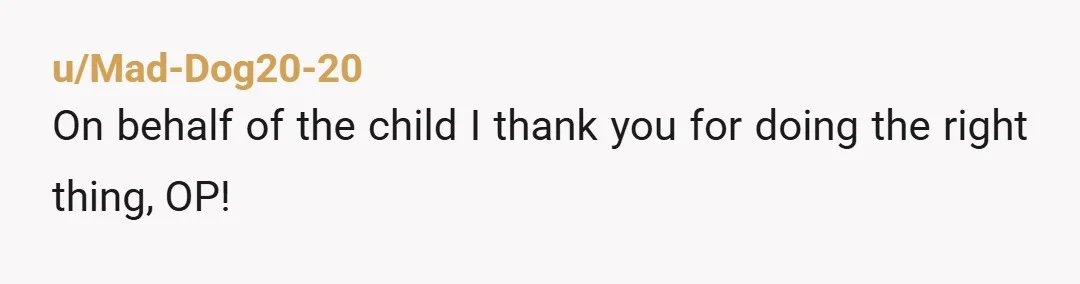 u/Mad-Dog20-20
On behalf of the child I thank you for doing the right thing, OP!